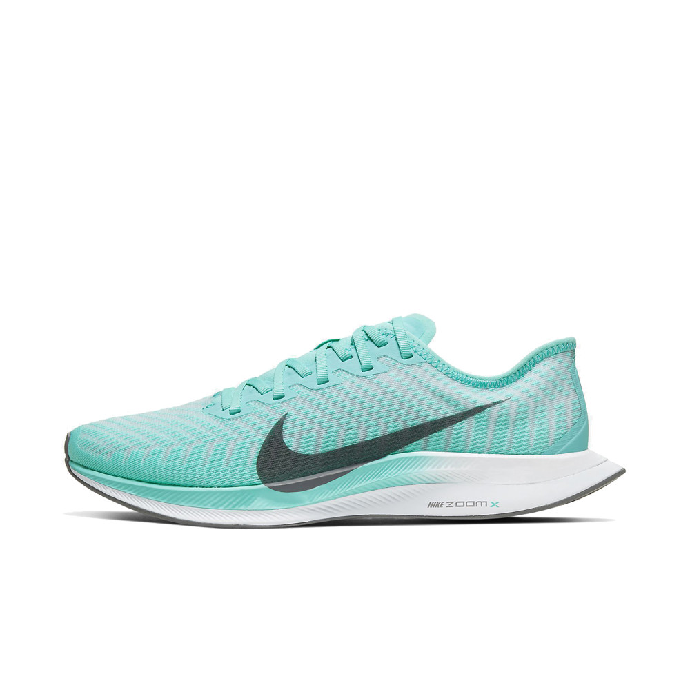 pegasus nike feminino